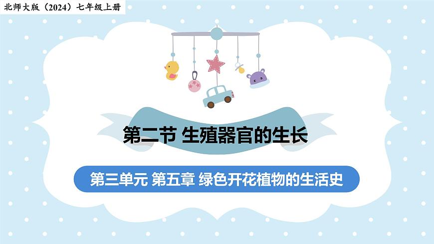 3.5.3生殖器官的生长——初中生物学北师大版（2024）七年级上册课件第1页