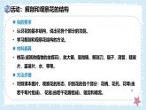 3.5.3生殖器官的生長(zhǎng)——初中生物學(xué)北師大版（2024）七年級(jí)上冊(cè)課件