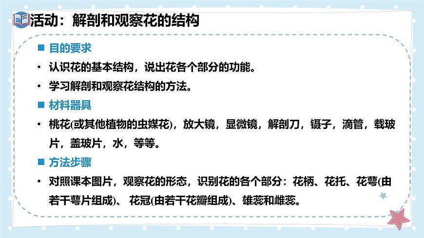 3.5.3生殖器官的生长——初中生物学北师大版（2024）七年级上册课件第5页