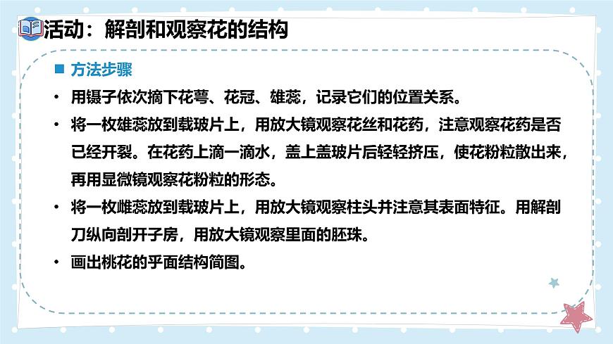 3.5.3生殖器官的生长——初中生物学北师大版（2024）七年级上册课件第7页