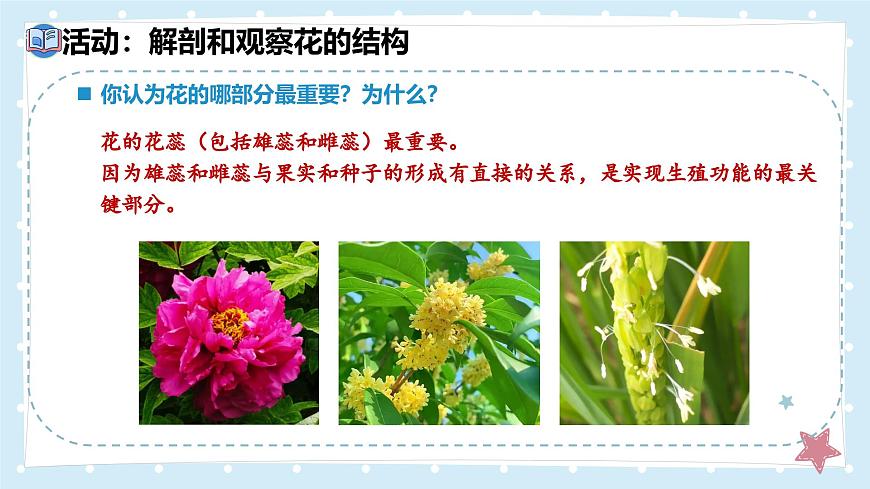 3.5.3生殖器官的生长——初中生物学北师大版（2024）七年级上册课件第8页