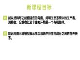 2024-2025學(xué)年蘇教版初中生物七年級(jí)下冊(cè)3.7.1 生態(tài)系統(tǒng)的構(gòu)成（第2課時(shí)）課件