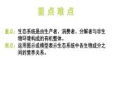 2024-2025學(xué)年蘇教版初中生物七年級(jí)下冊(cè)3.7.1 生態(tài)系統(tǒng)的構(gòu)成（第2課時(shí)）課件
