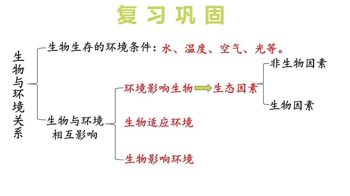 2024-2025学年苏教版初中生物七年级下册3.7.1 生态系统的构成（第2课时）课件第4页