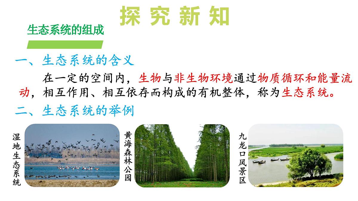 2024-2025学年苏教版初中生物七年级下册3.7.1 生态系统的构成（第2课时）课件第6页