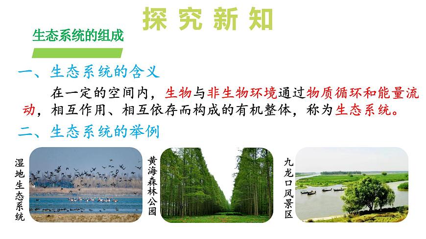 2024-2025学年苏教版初中生物七年级下册3.7.1 生态系统的构成（第2课时）课件第6页