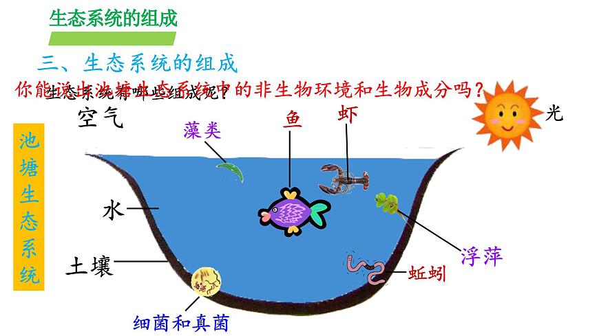 2024-2025学年苏教版初中生物七年级下册3.7.1 生态系统的构成（第2课时）课件第8页