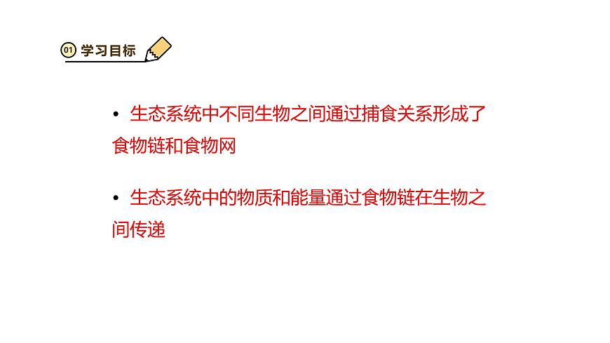 2024-2025学年苏教版初中生物七年级下册3.7.2 食物链和食物网 课件第2页