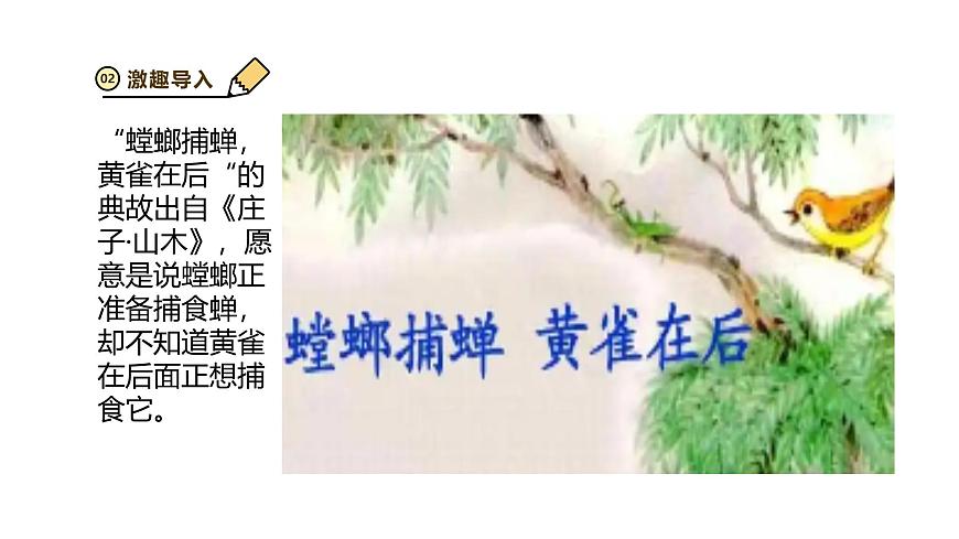2024-2025学年苏教版初中生物七年级下册3.7.2 食物链和食物网 课件第3页