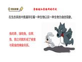 2024-2025學(xué)年蘇教版初中生物七年級下冊3.7.2 食物鏈和食物網(wǎng) 課件