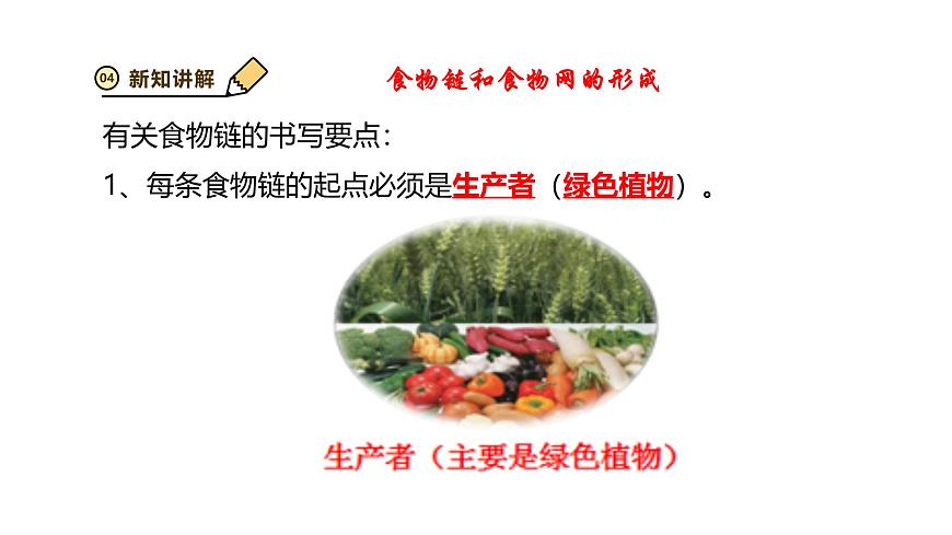 2024-2025学年苏教版初中生物七年级下册3.7.2 食物链和食物网 课件第8页