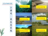 2024-2025學年蘇教版初中生物七年級下冊3.7.3 生物圈  課件