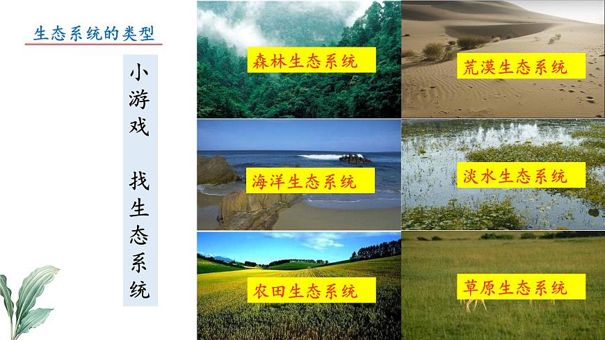 2024-2025学年苏教版初中生物七年级下册3.7.3 生物圈  课件第4页
