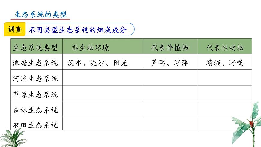 2024-2025学年苏教版初中生物七年级下册3.7.3 生物圈  课件第5页