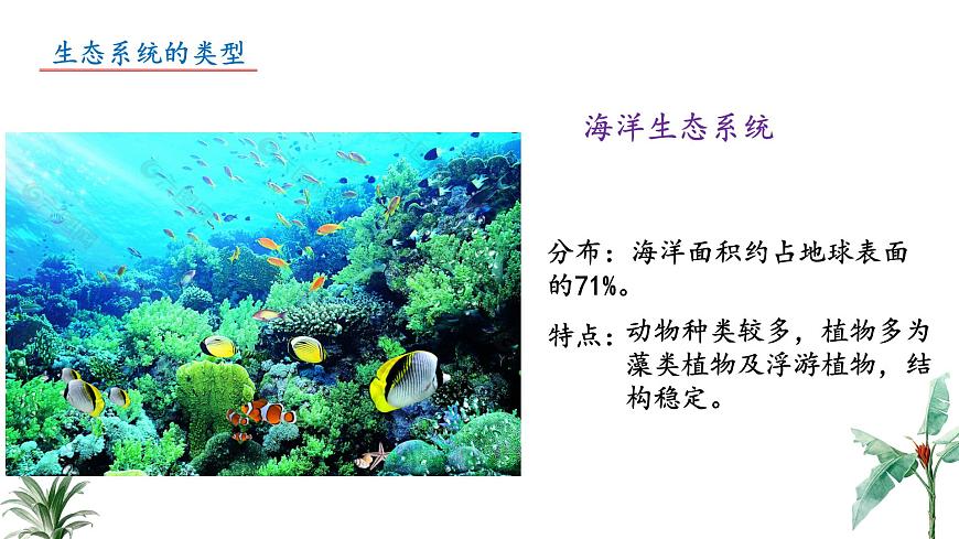 2024-2025学年苏教版初中生物七年级下册3.7.3 生物圈  课件第7页