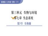 2024-2025學年蘇教版初中生物七年級下冊3.7.3生物圈 課件