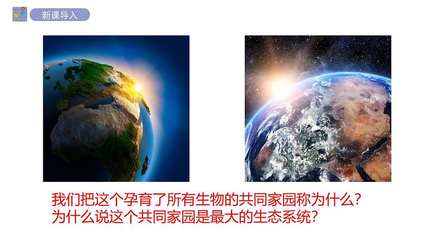 2024-2025学年苏教版初中生物七年级下册3.7.3生物圈 课件第3页