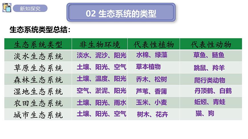 2024-2025学年苏教版初中生物七年级下册3.7.3生物圈 课件第6页