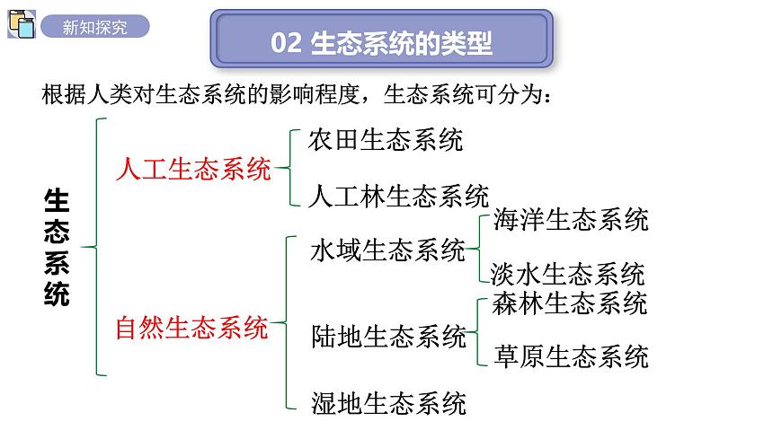 2024-2025学年苏教版初中生物七年级下册3.7.3生物圈 课件第7页