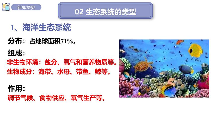 2024-2025学年苏教版初中生物七年级下册3.7.3生物圈 课件第8页