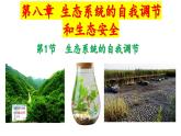 2024-2025學年蘇教版初中生物七年級下冊3.8.1  生態(tài)系統(tǒng)的自我調節(jié) 課件
