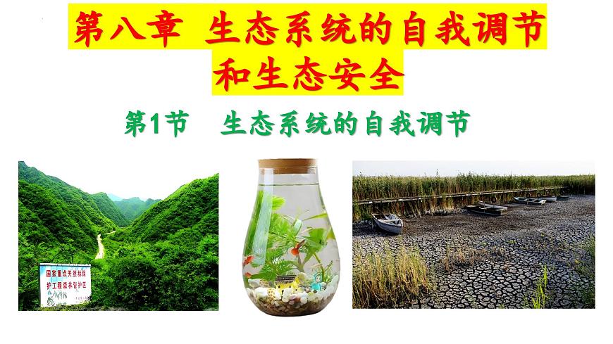 2024-2025学年苏教版初中生物七年级下册3.8.1  生态系统的自我调节 课件第1页