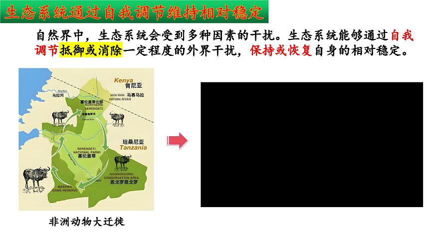 2024-2025学年苏教版初中生物七年级下册3.8.1  生态系统的自我调节 课件第4页