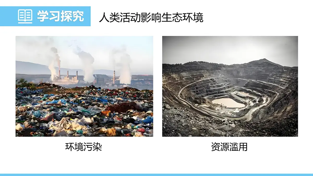 2024-2025学年苏教版初中生物七年级下册3.8.2生态安全课件第5页