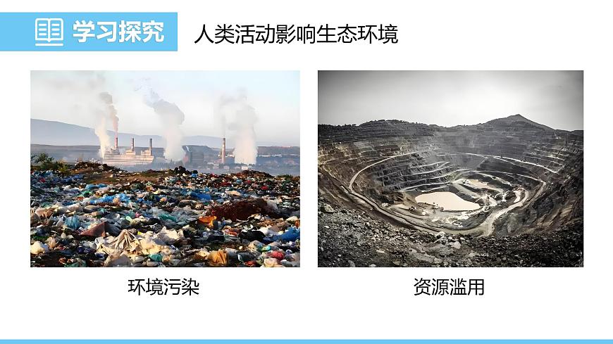 2024-2025学年苏教版初中生物七年级下册3.8.2生态安全课件第5页