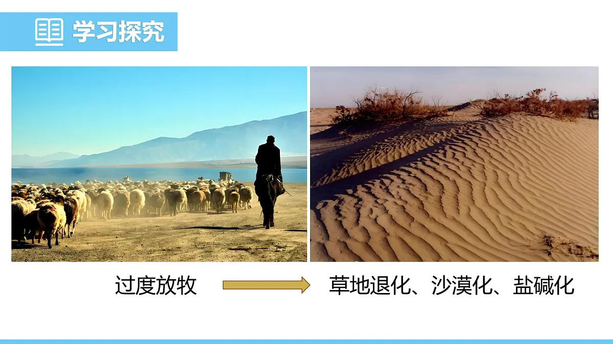 2024-2025学年苏教版初中生物七年级下册3.8.2生态安全课件第6页