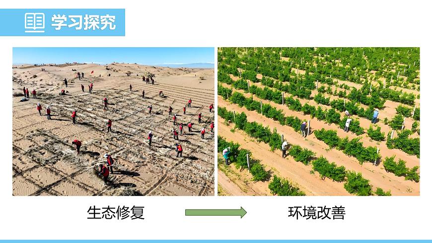 2024-2025学年苏教版初中生物七年级下册3.8.2生态安全课件第7页