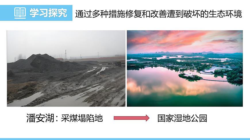 2024-2025学年苏教版初中生物七年级下册3.8.2生态安全课件第8页