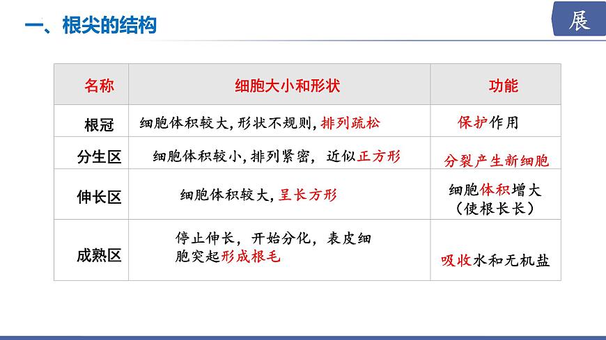 2024-2025学年苏教版初中生物七年级下册4.9.2  植物的生长课件第8页