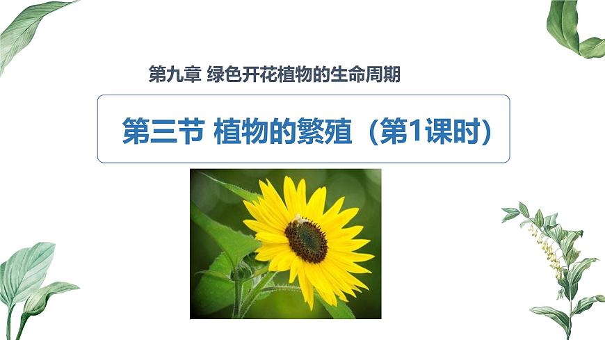 2024-2025学年苏教版初中生物七年级下册4.9.3 植物的繁殖（第1课时）课件第3页