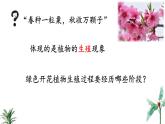 2024-2025學年蘇教版初中生物七年級下冊4.9.3 植物的繁殖（第2課時）課件