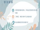2024-2025學年蘇教版初中生物七年級下冊4.9.3《植物的繁殖》課件