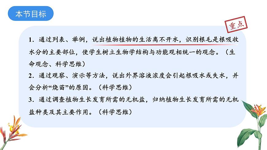 2024-2025学年苏教版初中生物七年级下册4.10.1 植物的营养器官（第1课时）课件第3页
