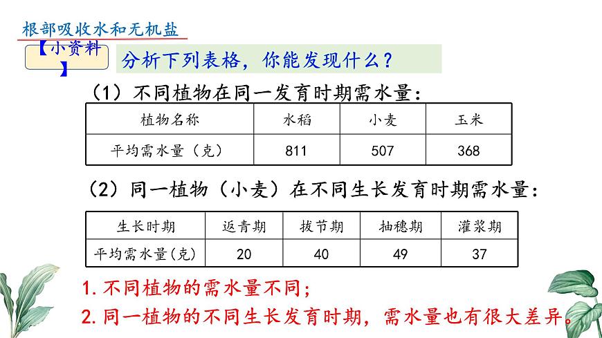 2024-2025学年苏教版初中生物七年级下册4.10.1 植物的营养器官（第1课时）课件第7页