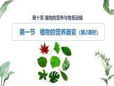2024-2025學(xué)年蘇教版初中生物七年級下冊4.10.1 植物的營養(yǎng)器官（第2課時）課件