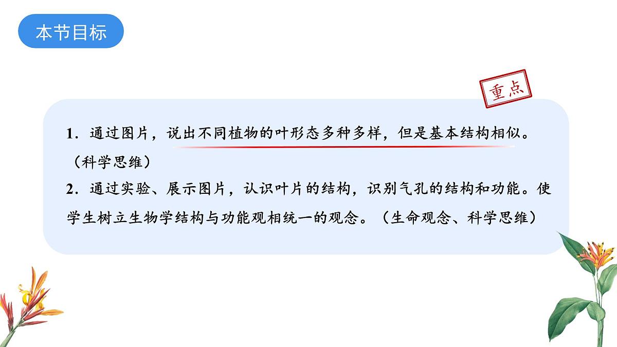 2024-2025学年苏教版初中生物七年级下册4.10.1 植物的营养器官（第2课时）课件第3页