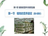 2024-2025學(xué)年蘇教版初中生物七年級下冊4.10.1 植物的營養(yǎng)器官（第4課時）課件