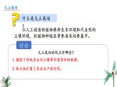 2024-2025學(xué)年蘇教版初中生物七年級下冊4.10.1 植物的營養(yǎng)器官（第4課時）課件