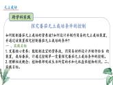 2024-2025學(xué)年蘇教版初中生物七年級下冊4.10.1 植物的營養(yǎng)器官（第4課時）課件