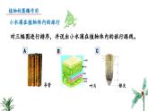 2024-2025學(xué)年蘇教版初中生物七年級(jí)下冊(cè)4.10.2 生物圈中的水循環(huán)（第1課時(shí)）課件
