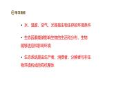 2024-2025學(xué)年蘇教版生物七下 3.7.1生態(tài)系統(tǒng)的構(gòu)成 課件 (2)
