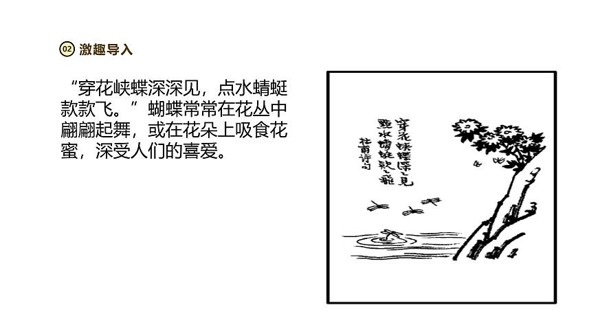 2024-2025学年苏教版生物七下 3.7.1生态系统的构成 课件 (2)第3页