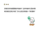 2024-2025學(xué)年蘇教版生物七下 3.7.1生態(tài)系統(tǒng)的構(gòu)成 課件 (2)