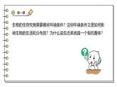 2024-2025學(xué)年蘇教版生物七下 3.7.1生態(tài)系統(tǒng)的構(gòu)成 課件