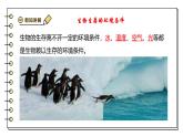 2024-2025學(xué)年蘇教版生物七下 3.7.1生態(tài)系統(tǒng)的構(gòu)成 課件