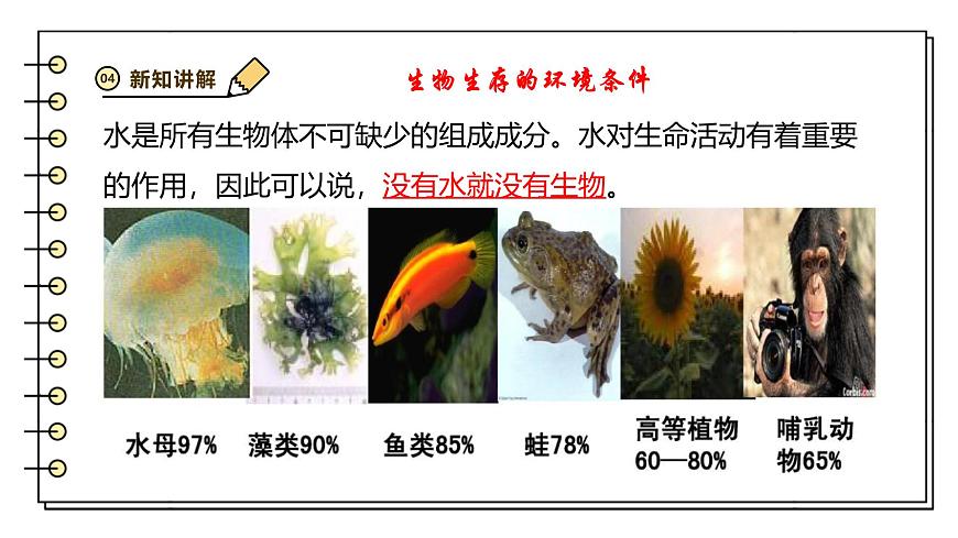2024-2025学年苏教版生物七下 3.7.1生态系统的构成 课件第6页